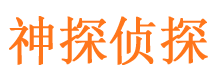 向阳市侦探调查公司